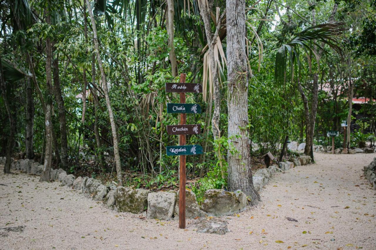 Hotel El Chital Raudales المظهر الخارجي الصورة