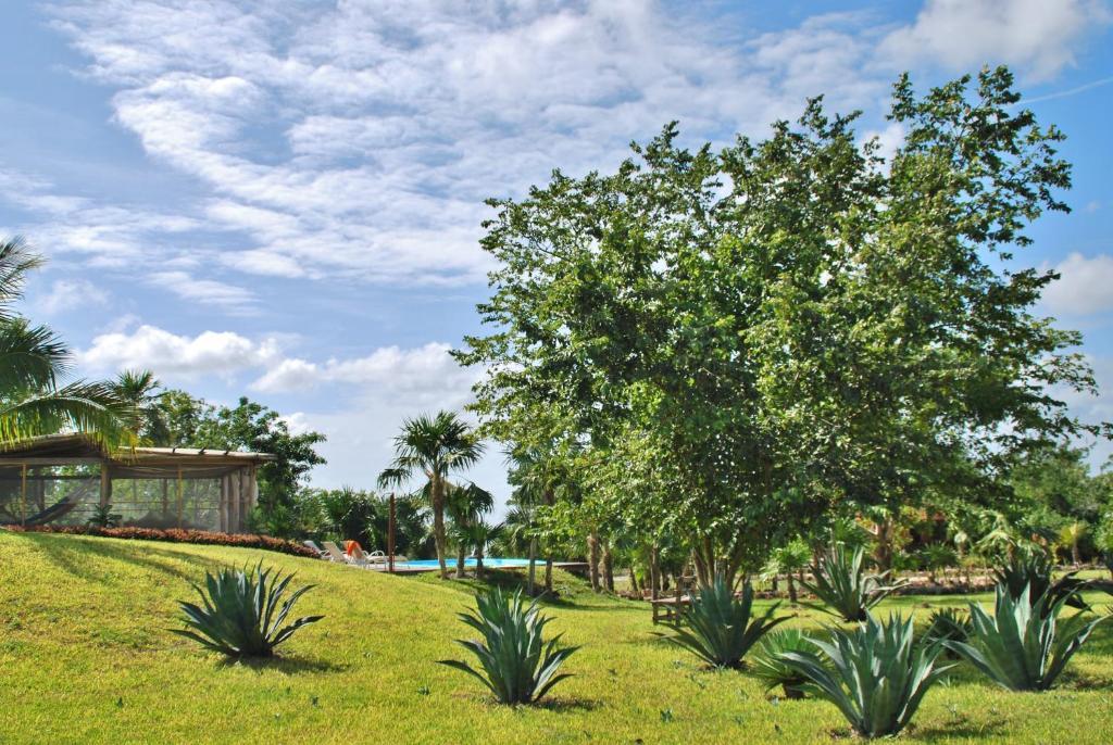 Hotel El Chital Raudales المظهر الخارجي الصورة